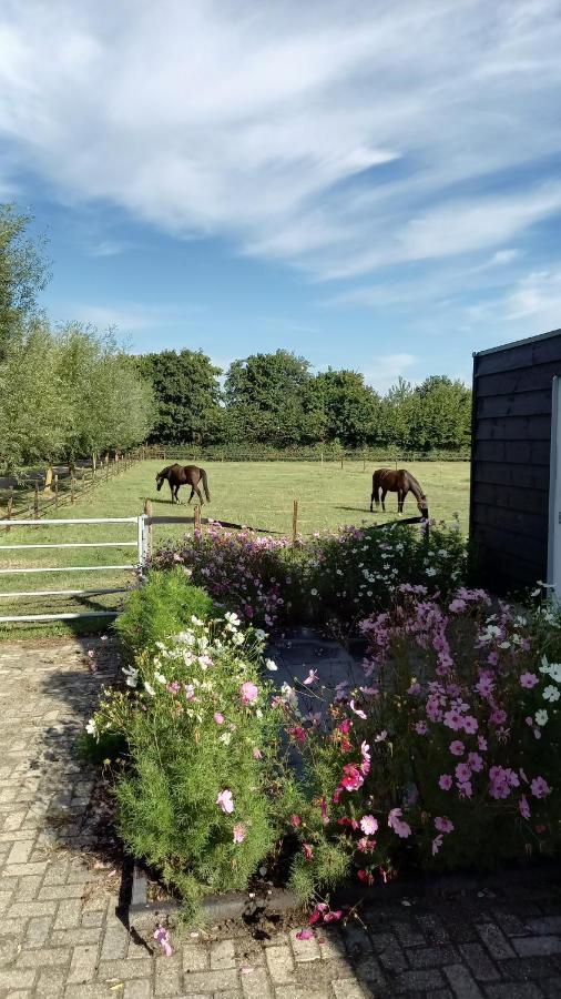De Klaproos Appartement Noordgouwe Buitenkant foto